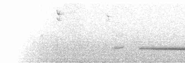  - Stripe-headed Antpitta