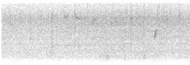 Плавунець плоскодзьобий - ML525578561