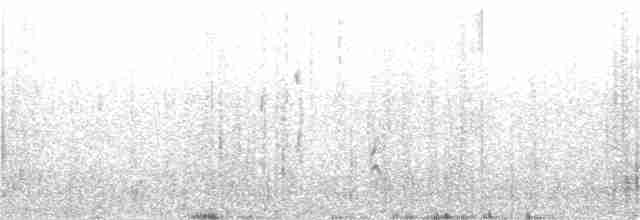 Long-tailed Meadowlark - ML52560701