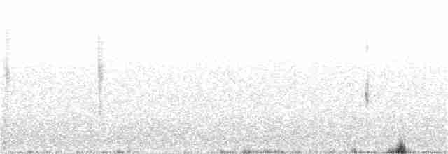 Graubrustcanastero - ML52560971