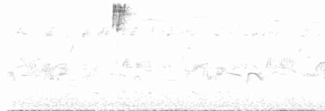 Tangara Ventriescarlata (igniventris) - ML525668191
