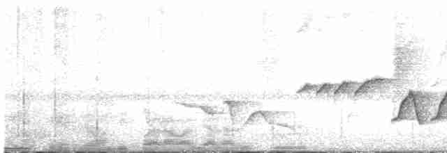 Серогрудый крапивник - ML525685871