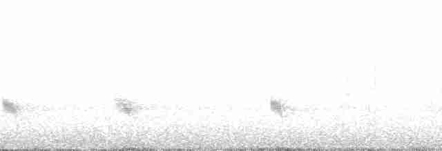 Качолота чорночуба - ML52573