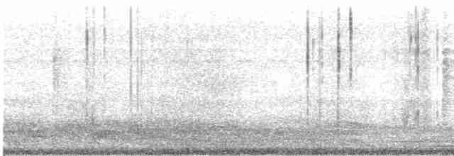 Северная бормотушка - ML525771891