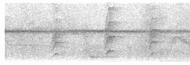 Тиранчик-мухолюб вохристий - ML525777051