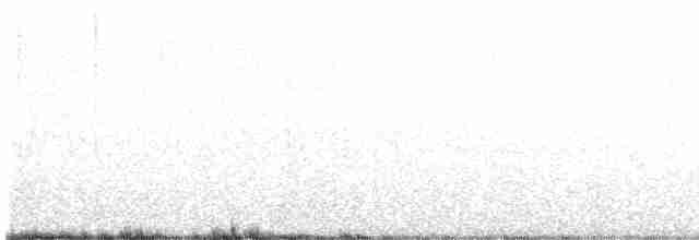 Prairie Warbler - ML525802011