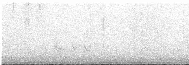 Brownish-flanked Bush Warbler - ML525808781