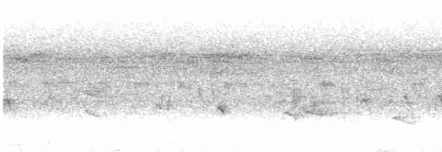 Тиранчик-короткодзьоб південний - ML525810401