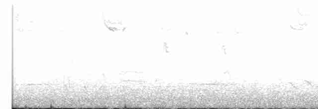 Bruant à couronne blanche - ML525830121
