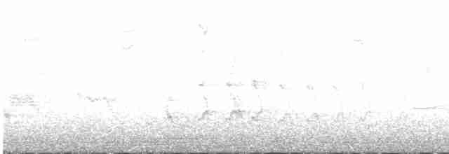 Bruant à couronne blanche - ML525830171