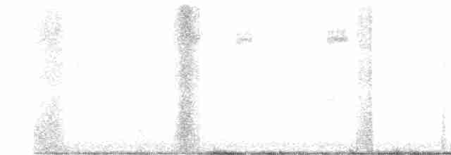 Ev Çıtkuşu [aedon grubu] - ML525883571
