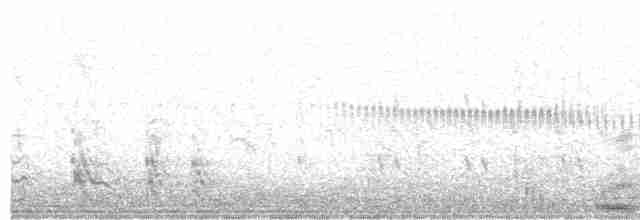 Крапивниковая иглохвостка - ML525970191