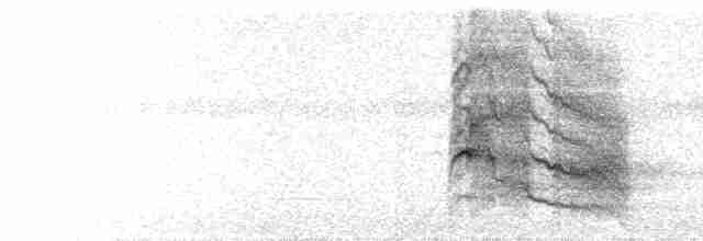  - Yellow-headed Caracara