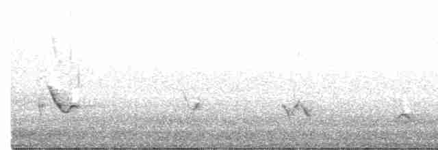 Black-headed Grosbeak - ML526062721
