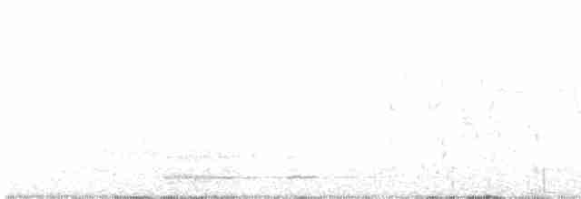 Ring-necked Pheasant - ML526067531