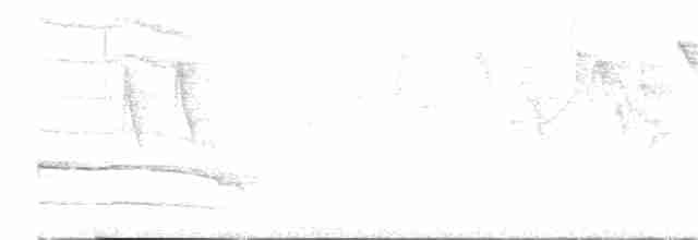 žluna indomalajská - ML526085611