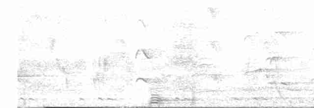 Doppelhornvogel - ML526085881