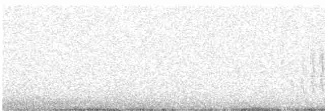Damalı Sepetören [sclateri grubu] - ML526093411