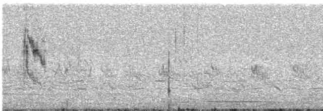 Tawny Pipit - ML526101331