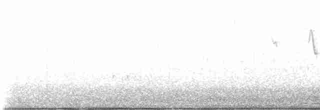 Troglodyte de Baird ou T. des forêts - ML526131381