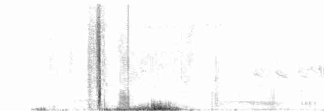White-tailed Iora - ML526137141