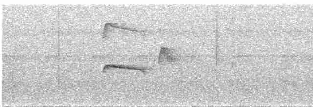 Ruddy-tailed Flycatcher - ML526158411