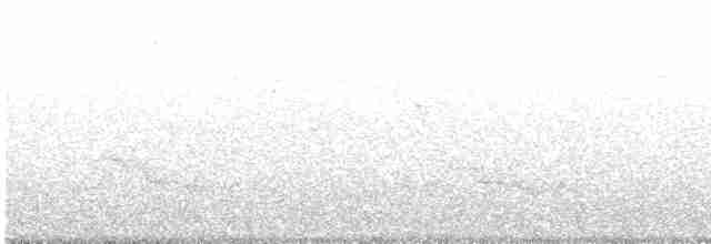 Тираник сірий - ML526167961