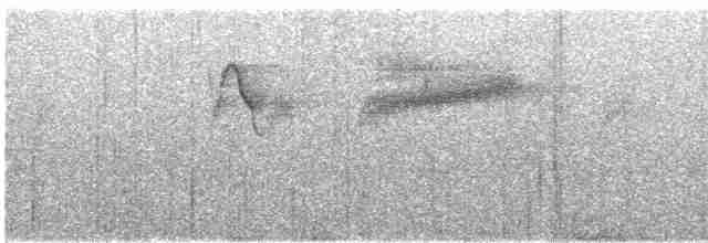 Picoplano de Anteojos - ML526189181