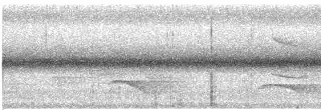 Кокоа плямистий - ML526193561