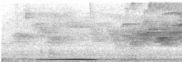 Ak Yüzlü Kumru - ML526195761