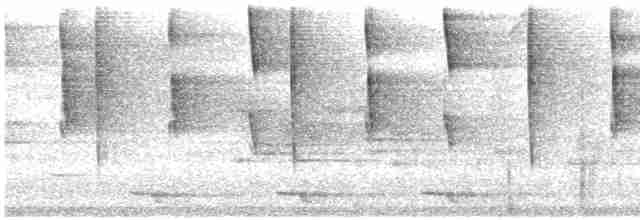 Синегрудый фиалкоух - ML526196281