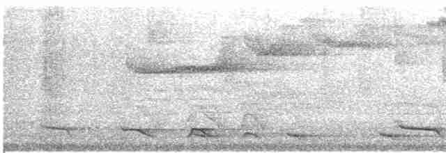 Ошейниковый трогон - ML526196371