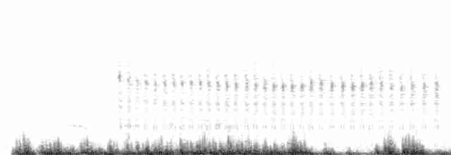 Woodchat Shrike - ML526198271