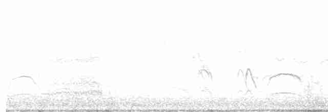紅肩金剛鸚鵡 - ML526200531