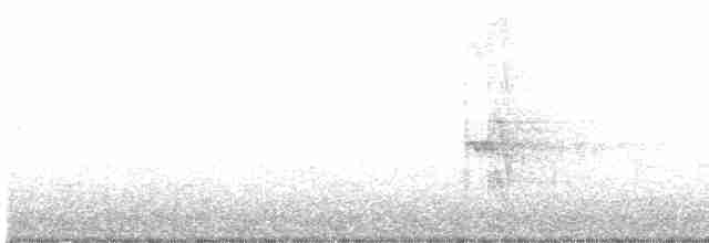 halsbåndparakitt - ML526210181