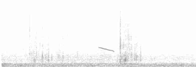 Bar-tailed Lark - ML526230581
