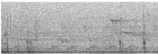 Kupfertrogon - ML526262101