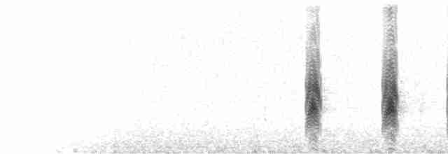  - White-cheeked Cotinga