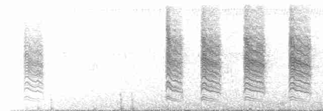 krattvireo (arizonae) - ML526385261