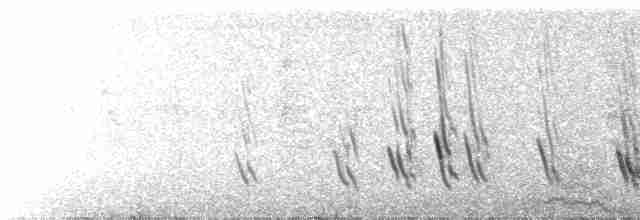 Büyük Mor Kırlangıç - ML526385401
