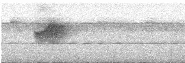 hvitkronekløftstjert - ML526424921