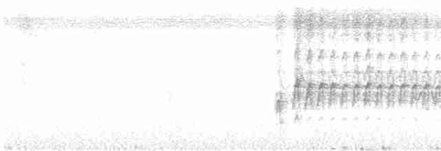 Дятел смугастохвостий - ML526457401