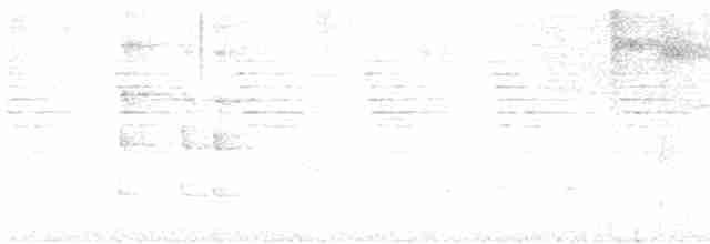 Тітіріджі блідий - ML526457561