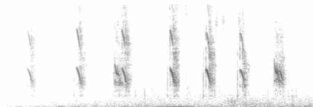 Большая ласточка (hesperia) - ML526498931