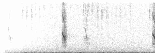 Golondrina Purpúrea (hesperia) - ML526498941