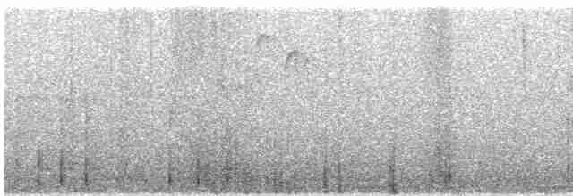 Yumuşak Tüylü Ağaçkakan - ML526502681
