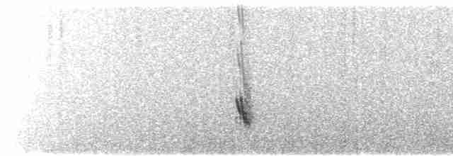 Büyük Mor Kırlangıç (hesperia) - ML526503241