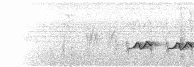  - Gray-eyed Greenlet