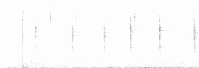 גיבתונית חומת-זנב - ML526513911