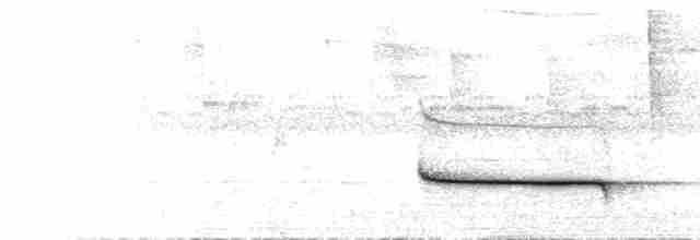  - Slaty-capped Shrike-Vireo (Pale-legged)